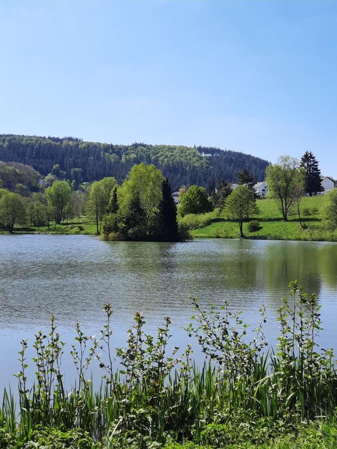 Meisters Schick Im Stryck Willingen Виллинген Экстерьер фото
